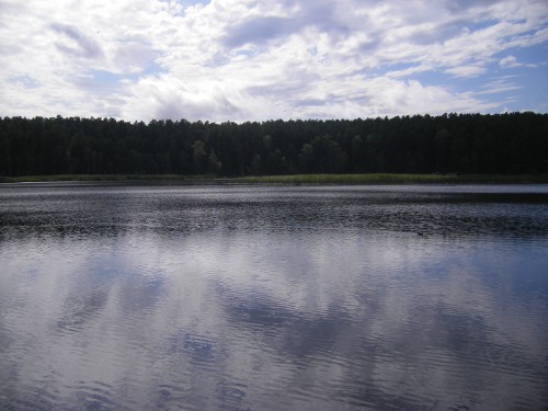 Озеро боровушка еткульский район рыбалка