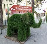слон из травы